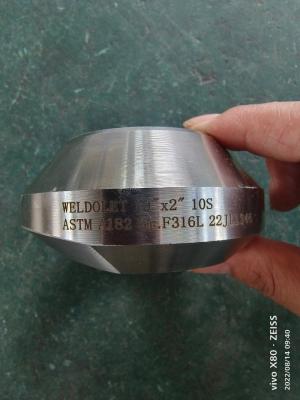 China Stainless Steel Pipe Fittings Weldolet 10”X 2