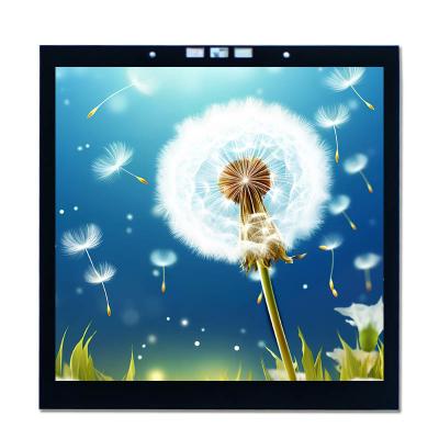 China 3.95 inch Capacitive IPS LCD Touch Screen Display 350 Nits High Brightness for sale