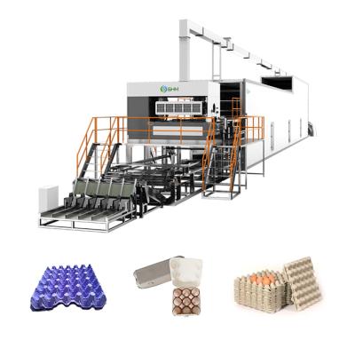 China Máquina para hacer bandejas de huevos de codorniz de papel Máquina de caja de huevos totalmente automatizada en venta