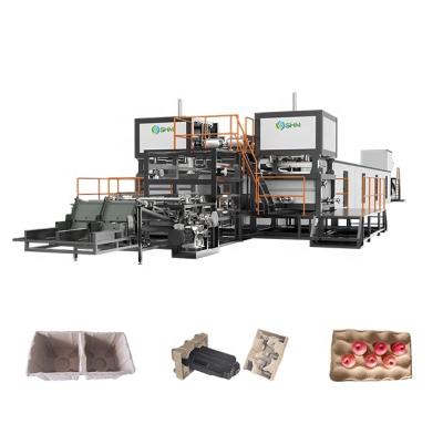 China Máquina para hacer bandejas de semillas de vivero Máquina de moldeo de celulosa automática completa en venta