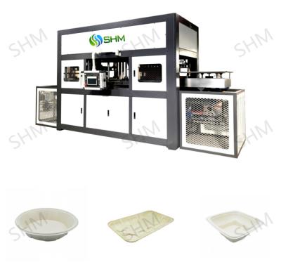 China Linha de produção de máquinas de moldagem de pasta de bagaço de cana de açúcar à venda