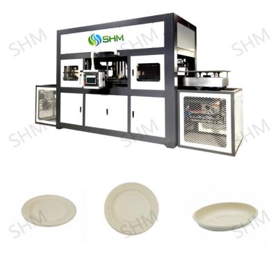 China Máquina de moldeado de bandejas de papel de precisión en venta