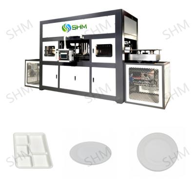 China Biodegradable Pulp Molding Tableware Machine Customized Pulp Tray Machine Line for sale