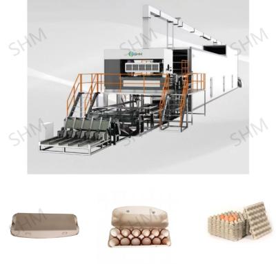 China Waste Paper Egg Tray Production Line Machine Fully Automatic For Industrial for sale