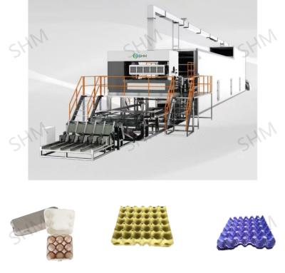 China Máquina automática de fabricação de caixas de frutas de alta velocidade para produtos de celulose moldada à venda