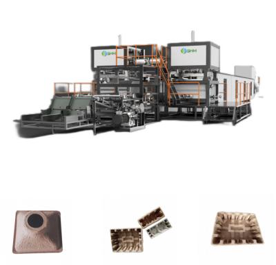 China Máquina de fabricação de bandejas de colheita de 380 V Equipamento de fabricação de bandejas de sementeira de alta capacidade à venda