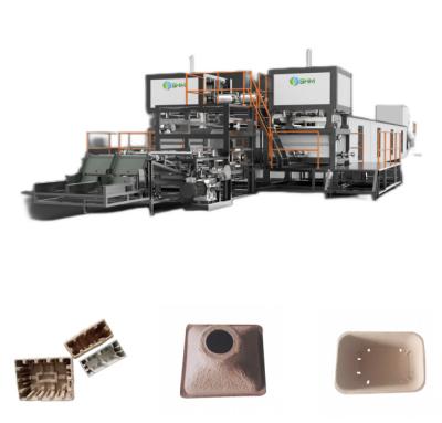 China Máquinas para la elaboración de bandejas para el cultivo de arroz, máquinas automáticas de moldeo de fibras en venta