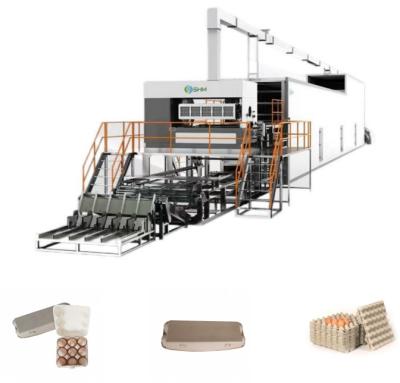 Cina Macchina per la fabbricazione di vassoi ad alta velocità Macchina per la produzione di pasta stampata automatica ISO9001 in vendita