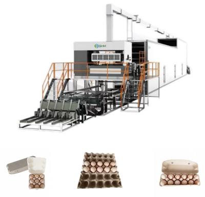China Customized Egg Tray Molding Machine Fully Automatic With Recycled Paper for sale