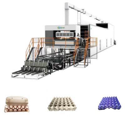 Chine Ligne de production automatique de la machine de fabrication de plateaux à fruits avec système de nettoyage automatique à vendre