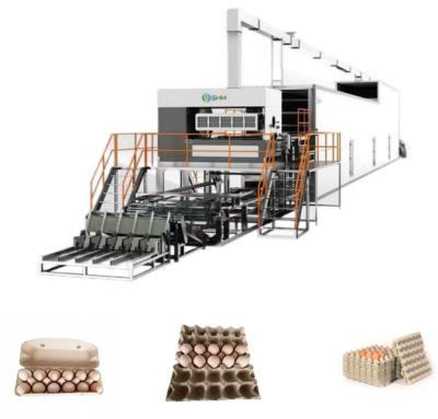 China 50Hz Pulp Paper Egg Tray Making Machine Pulp Container Manufacturing for sale