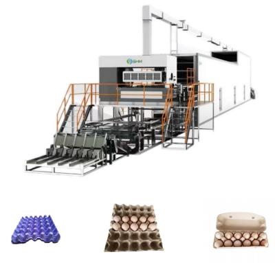 China Máquina de fabricación de bandejas de papel a medida Línea de producción de envases de pasta moldeada en venta