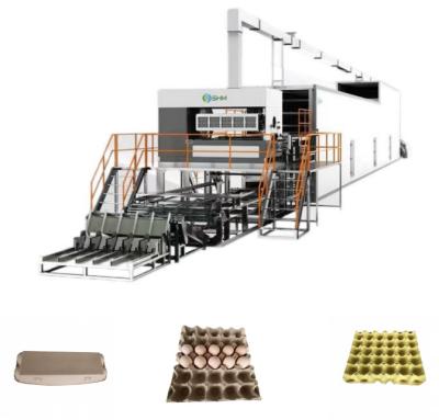 China Máquina de fabricación de bandejas de papel ondulado estable Productos moldeados de pasta en venta