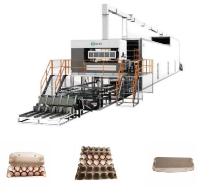 Cina Macchina di produzione di vassoi di carta su misura Durata lunga per vassoi di uova in vendita