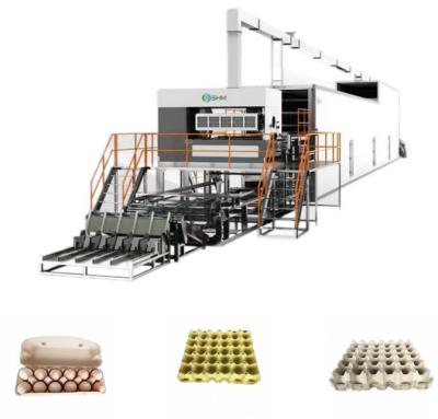 China Máquina de fabricação de bandejas de papel compacto máquina de moldagem de bandejas de celulose à venda