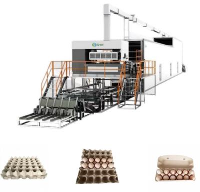 China High Speed Automatic Egg Tray Machine met PLC-besturingssysteem Te koop