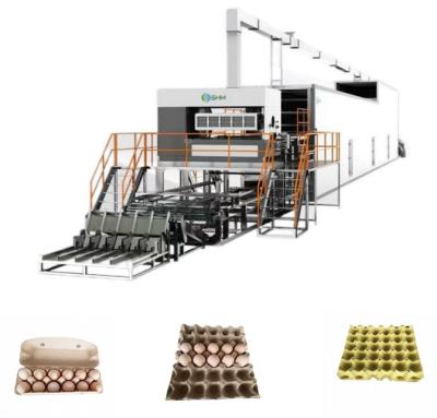 China Máquina de fabricação de bandeja de maçã moldeada linha de produção automática completa à venda