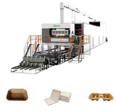 China Máquina de moldeado de bandejas de papel residual de frutas Tratamiento de Teflón de alta velocidad en venta