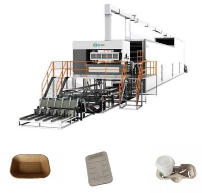 China Máquina automática de moldagem de celulose rotativa Máquina de moldagem de tabuleiros para copos de café à venda