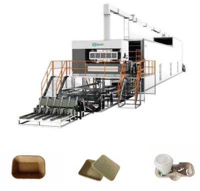 Chine Machine de fabrication de plateaux de fruits de kiwis machine rotative automatique moulée en pâte à vendre
