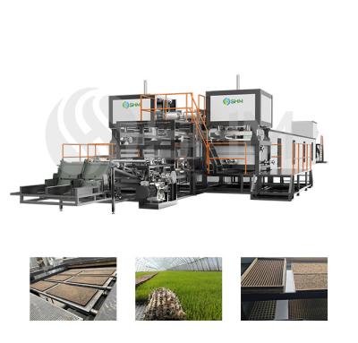 China Electrical Nursery Tray Making Machine Full Automatic Production Line for sale
