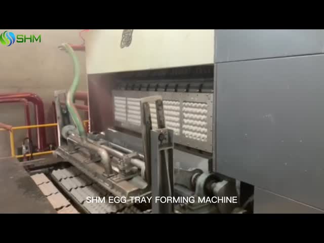 High Speed Egg Tray Making Machine Automatic Molded Pulp Machine ISO9001