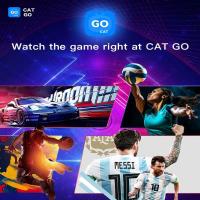 Quality 4k Android Tv Box 4gb Ram 64gb Rom Digibox Smart 2T2R Antenna for sale