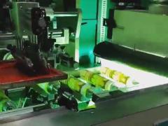 Silicone Cartridge Printing Machine