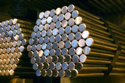Китай Серебр никеля ASTM вокруг запаса пробивая отростчатый финиш поверхности БА продается