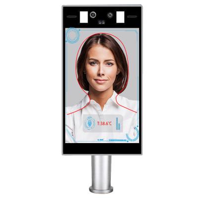 China Non Contact Face Recognition Temperature Measurement 8 Inch HD LCD AI Intelligent for sale