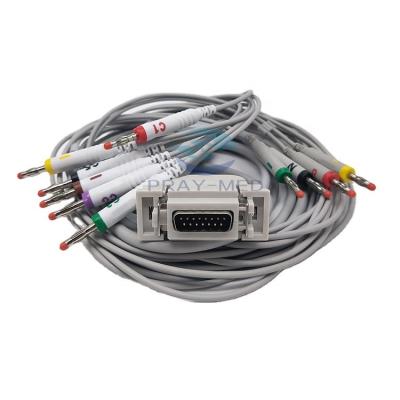 Chine Câble d'électrocardiogramme de Siemens/avance de Hellige 10 avec la banane 4,0 3.6m AHA/IEC à vendre