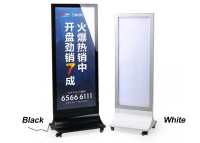 China Caixa de exposição leve conduzida móvel ereta livre à venda