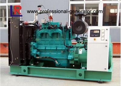 China Open Type 250kVA Cummins Gas Generator Sets with AC 3 Phase , Woodward Speed Governor for sale