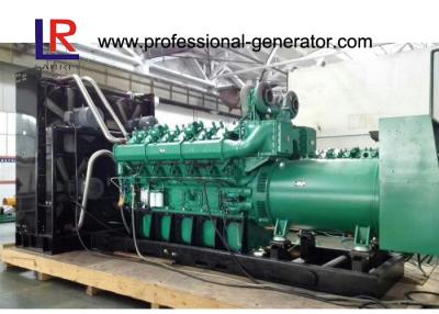 China CE Approved 1MW Natural Gas Generator Power Plant with LCD Display for sale