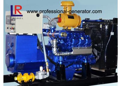 China Water Cooled 100kw Biogas Generator with CE , Electric Control Ignition  V Type for sale