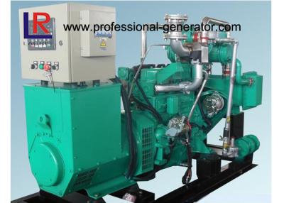 China Electric Small 50kw Wood Gas Power Plant Natural Gas Generators 3 Phase Powered by New Energy for sale