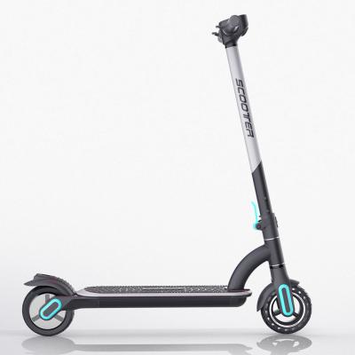 China Offroad Foldable E Roller Mobile E Scooter 250W Foldable Electric Scooter For Adults Teens for sale