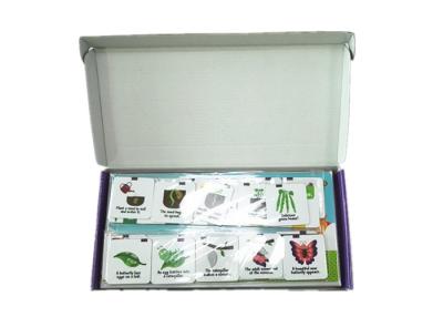Китай Эксклюзивный дизайн дошкольного раннего обучения набор холодильник магнитные игровые наборы с коробкой подарков упаковка для детей детей продается