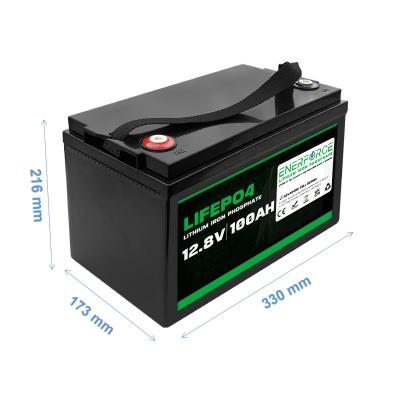 China OEM LFP 12V LiFePO4 Battery 100Ah 11.6kg For Solar Energy Storage for sale