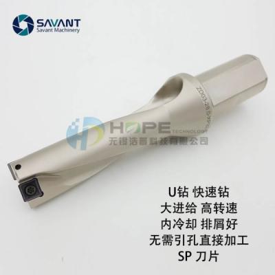 China Perforación indexable 2D-5D Perforación del centro de Savantec en venta