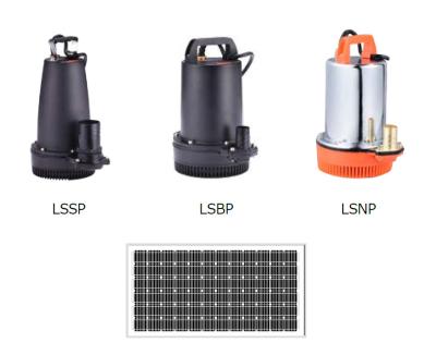 China Submersible Solar Submersible Water Pump For Agriculture , LSSP / LSBP / LSNP Series for sale