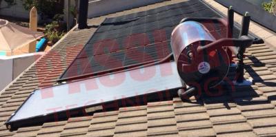 China Calentador de agua solar montado tejado del acero inoxidable 316, circuito de agua caliente solar a presión en venta