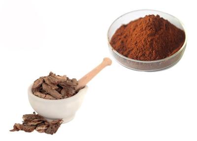 China Proanthocyanidins 95% Pine Bark Extract Powder for sale
