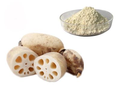 China Meal Replacement Pure Natural Lotus Root Vegetable Extract Powder for sale