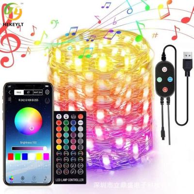 China RGB Outdoor Waterproof String Fairy Lights LED Lights Changing Rope For Christmas for sale