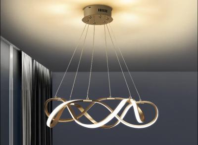 China Acrylic Lampshade Power 33w 50w 69w Iron Gold Modern Ring Light for sale