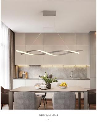 China Unique Hanging Ring Hardware Residential Modern Pendant Light for sale