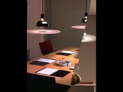 Indoor Decoration Modern Pendant Light Plating For Home