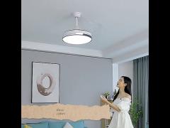 Retractable Ceiling Fan Light 48W With Bluetooth Speaker