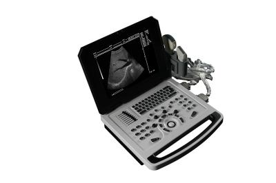 China Notebook Black And White Ultrasound Scanner for Cardiology for sale